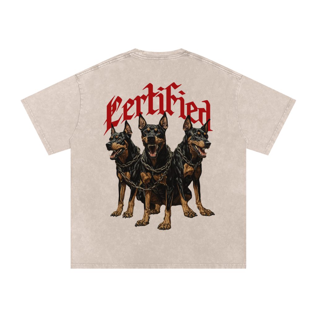 Snow Washed Oversized Cotton T-Shirt