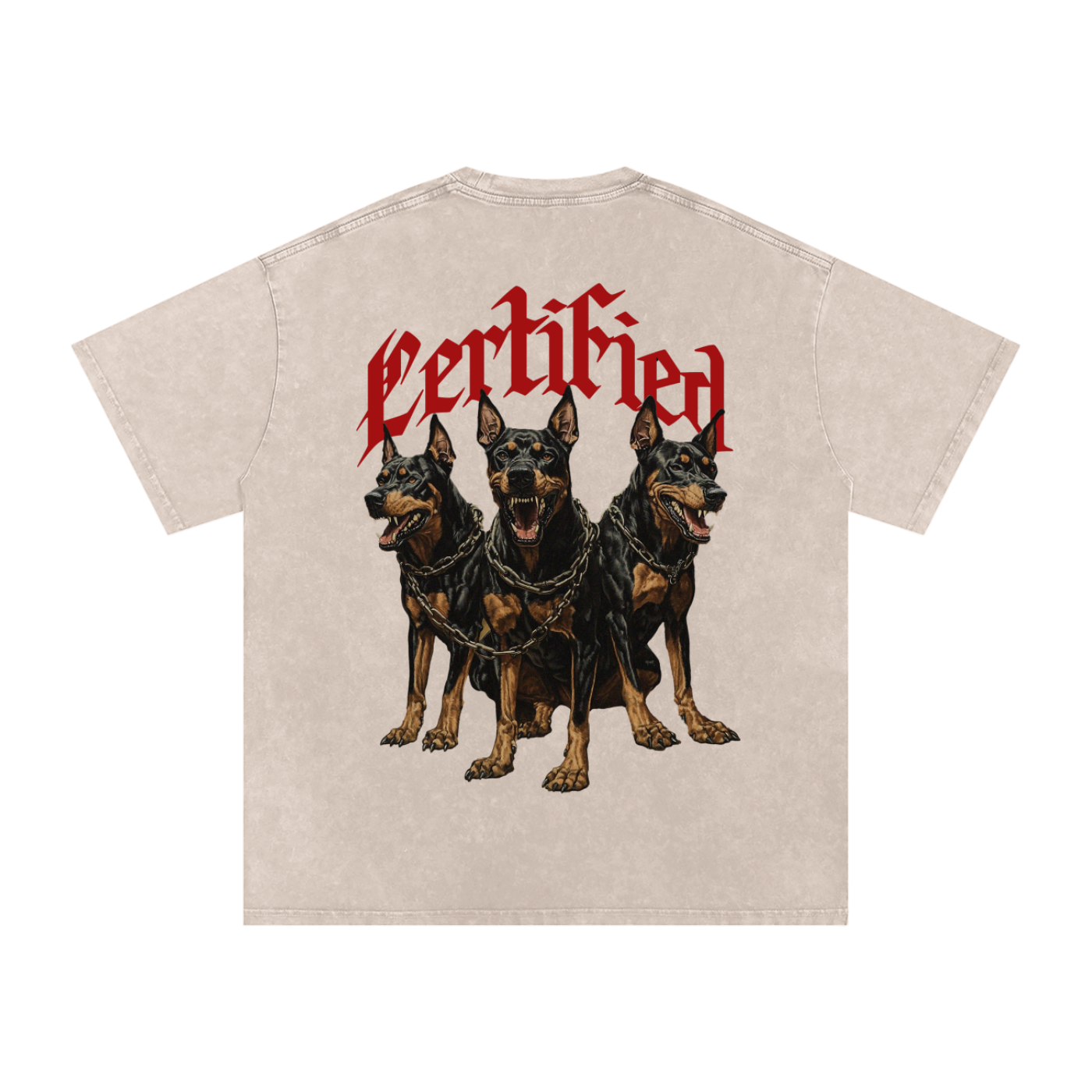 Snow Washed Oversized Cotton T-Shirt